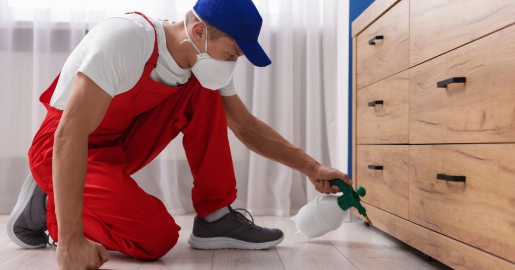 capa dedetizacao em Praia Grande